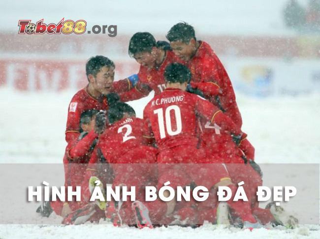Hình ảnh bóng đá đẹp của đội tuyển Việt Nam
