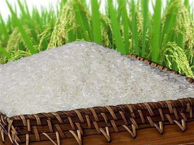 Chiêm bao thấy lúa gạo là điềm báo tốt lành