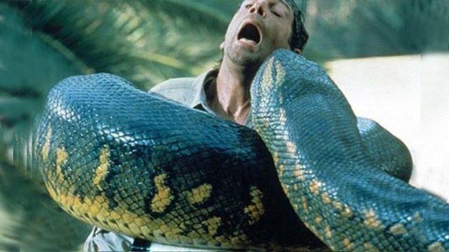 mơ thấy rắn khổng lồ đánh con gì