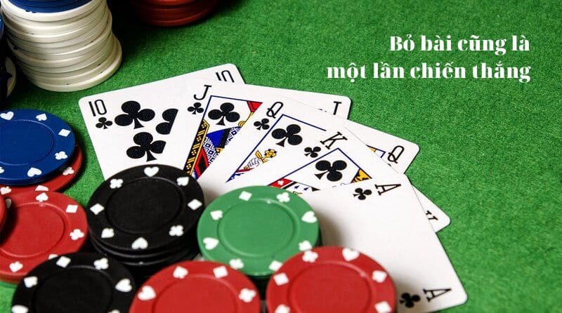 Quotes about Poker: Bỏ bài cũng là một lần chiến thắng