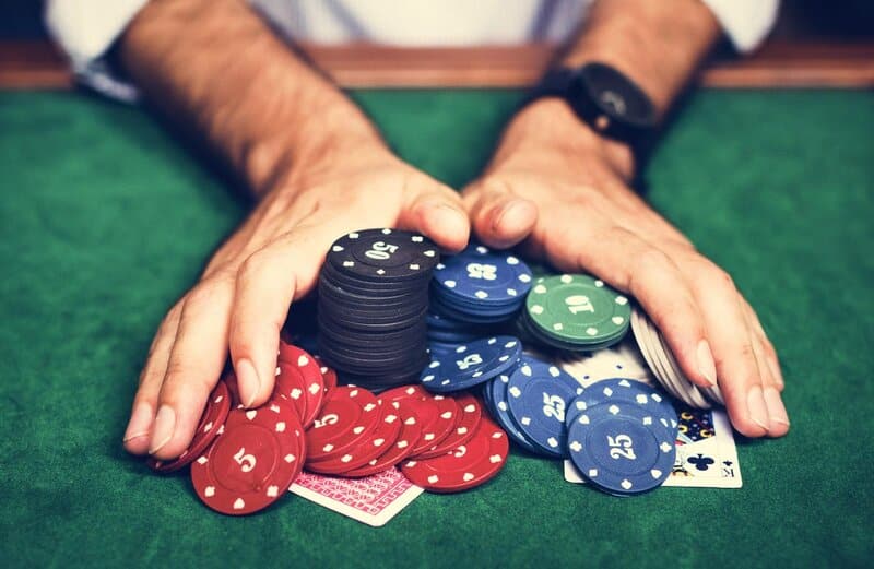 Quy tắc chọn size pet poker 8